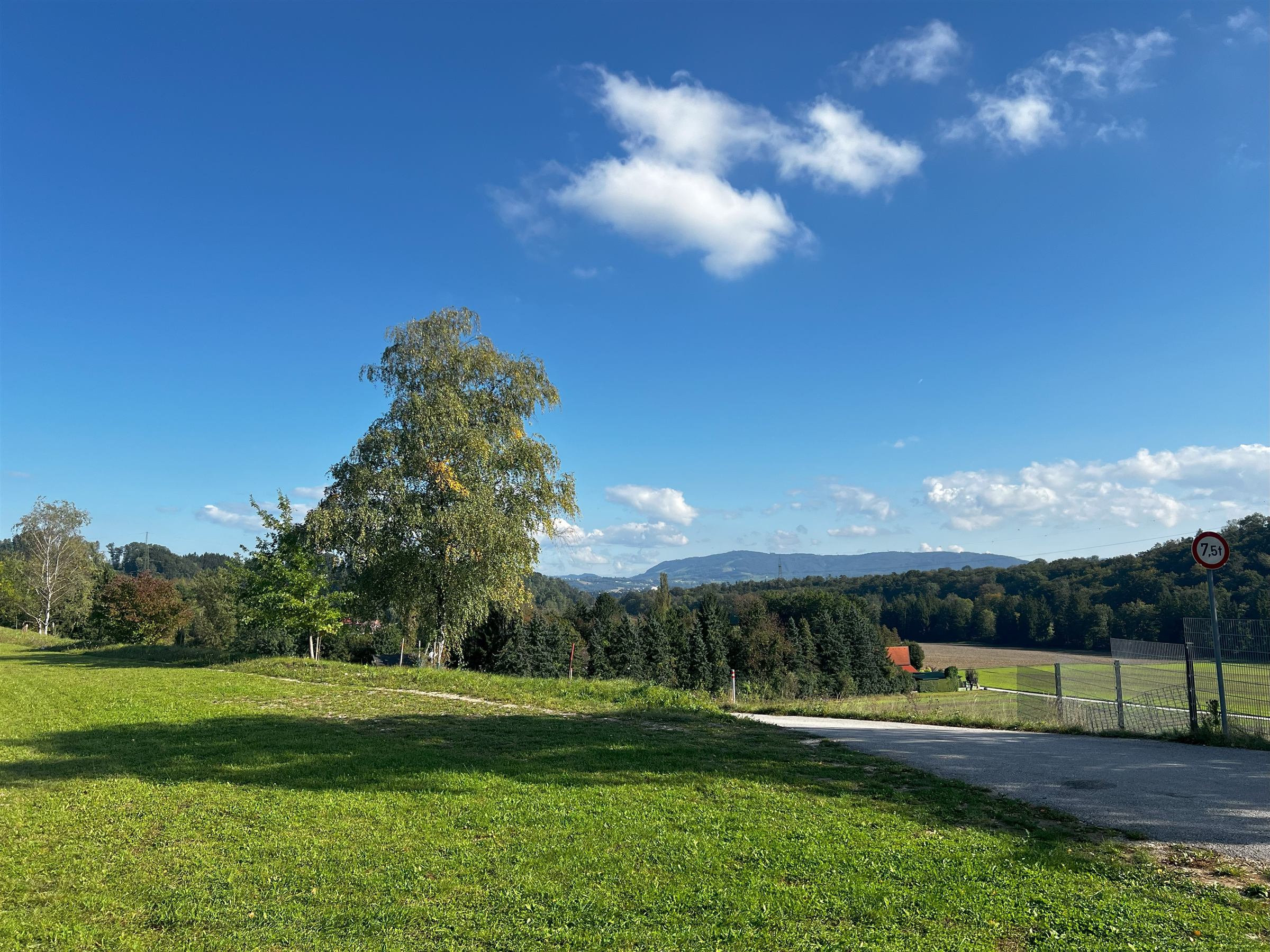 Baugrundstück Gärtnerweg 25c, Sierning – ebene Wiese mit unverbaubarem Blick nach Süden