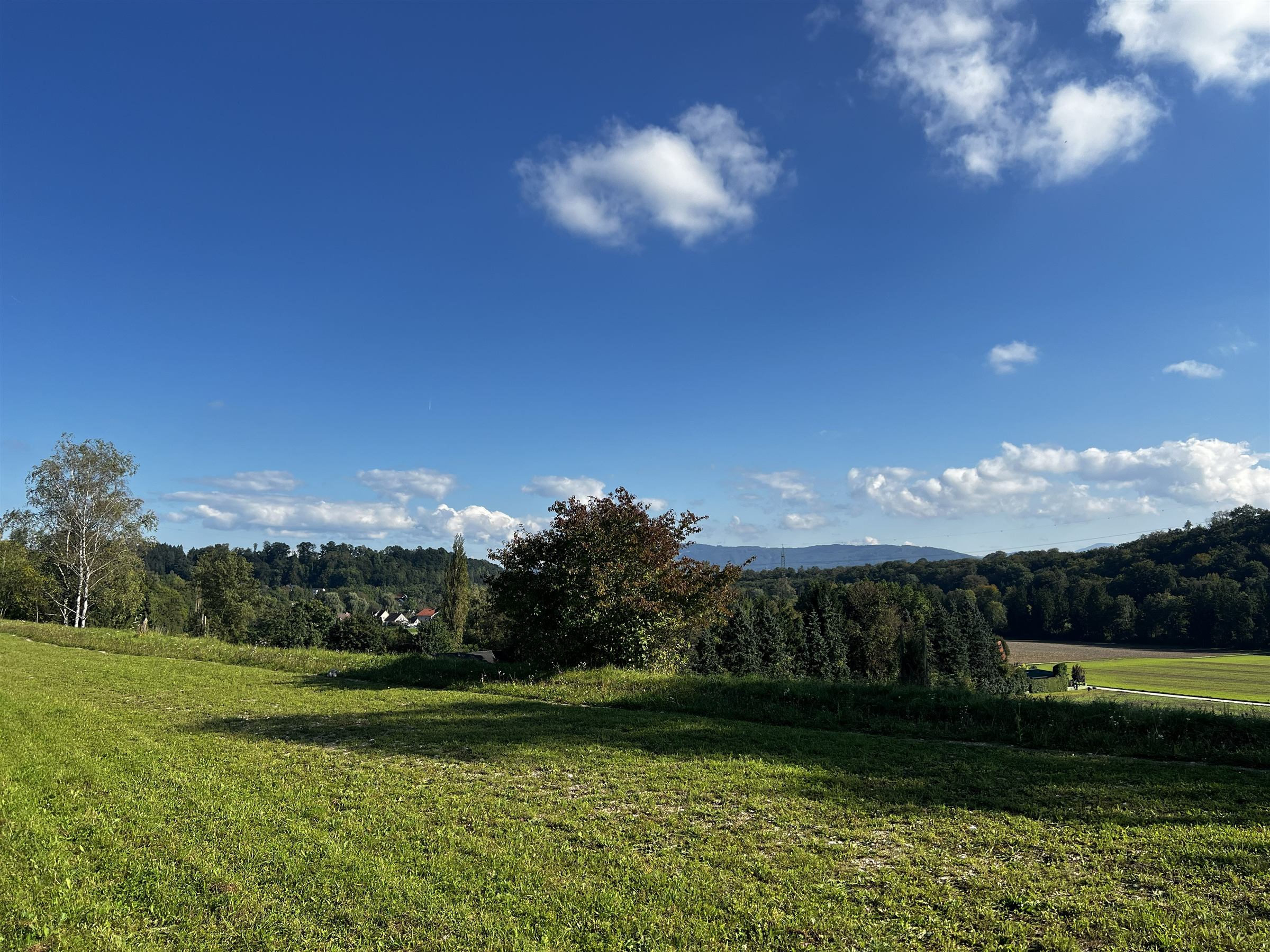 Baugrundstück Gärtnerweg 25d, Sierning – ebene Wiese am Ende der Sackgasse